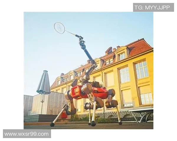 羽毛球训练设备创新及使用效果